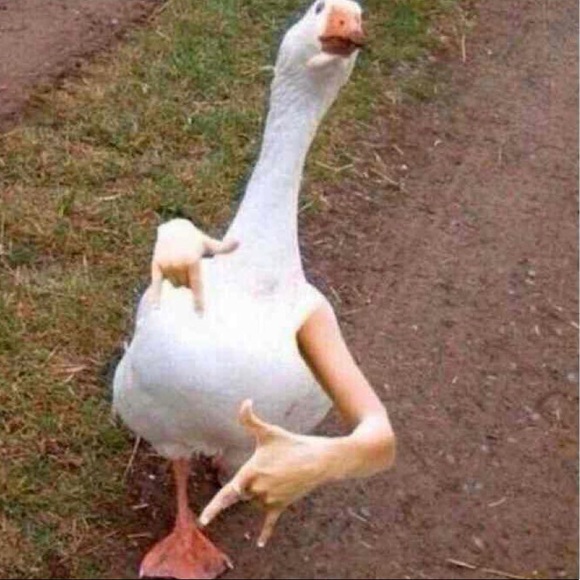 ogalien504